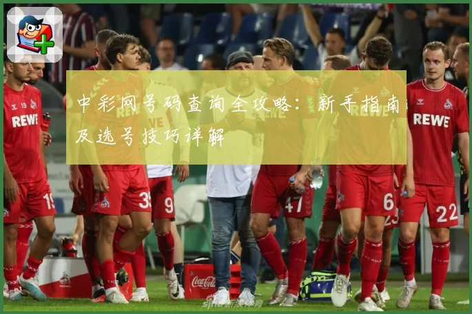 中彩网号码查询全攻略：新手指南及选号技巧详解