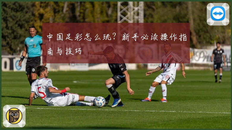 中国足彩怎么玩?新手必读操作指南与技巧