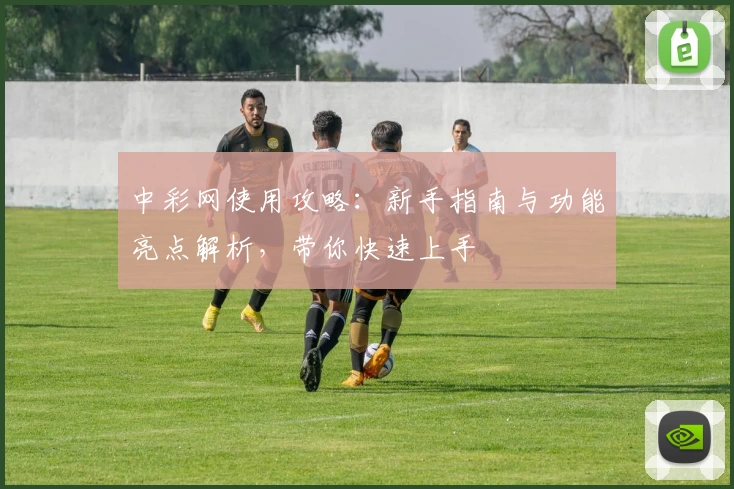 中彩网使用攻略：新手指南与功能亮点解析，带你快速上手
