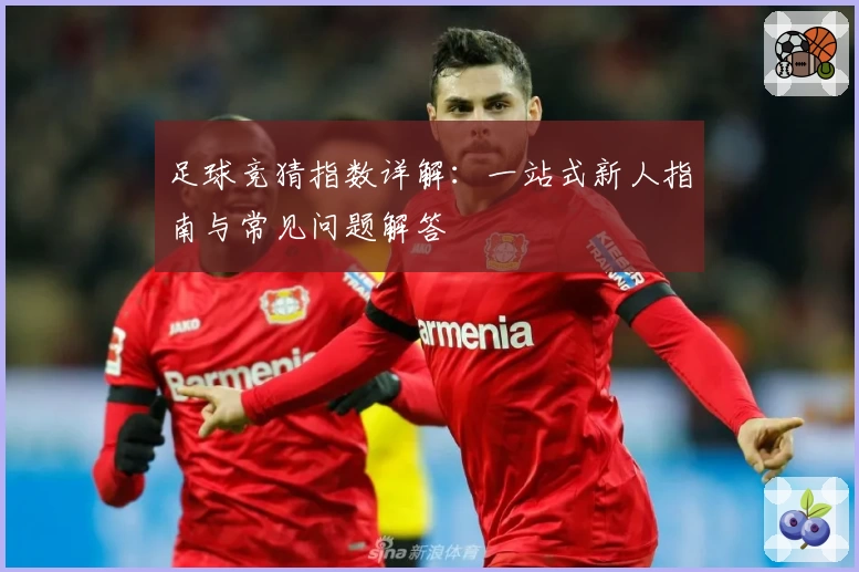 足球竞猜指数详解：一站式新人指南与常见问题解答